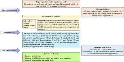 Impact of Micronutrient Supplementation on Pesticide Residual, Acetylcholinesterase Activity, and Oxidative Stress Among Farm Children Exposed to Pesticides